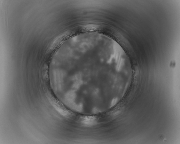 X0000112830361200909111404