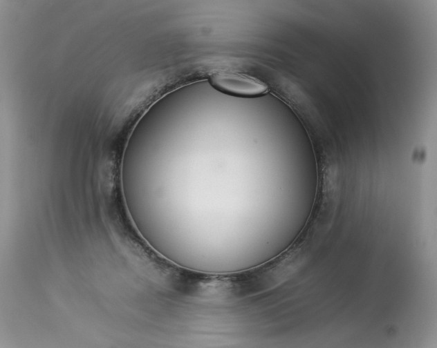 X0000112830362200909111404