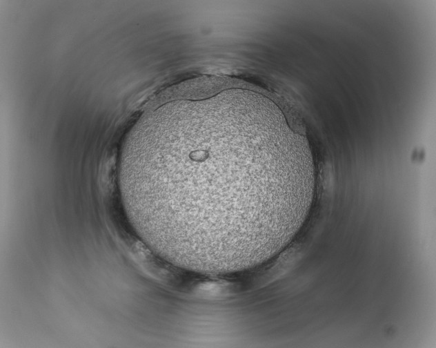 X0000112830364200909111404