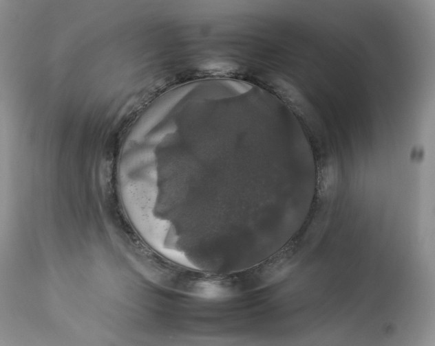 X0000112830365200909111404