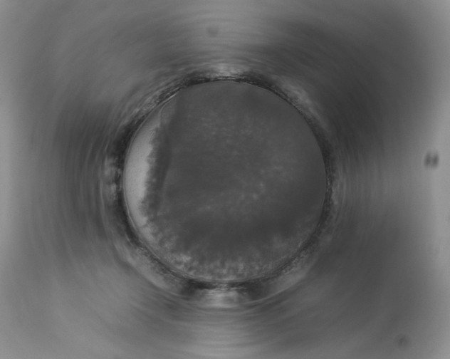 X0000112830366200909111404