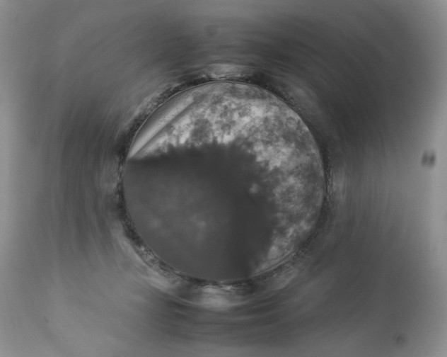 X0000112830367200909111404