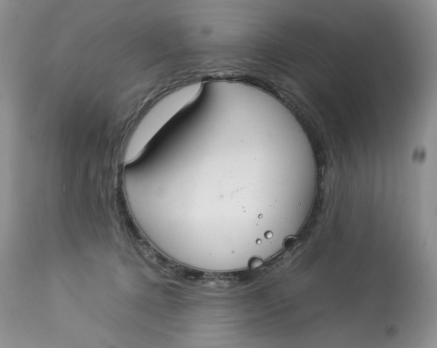 X0000112830368200909111404