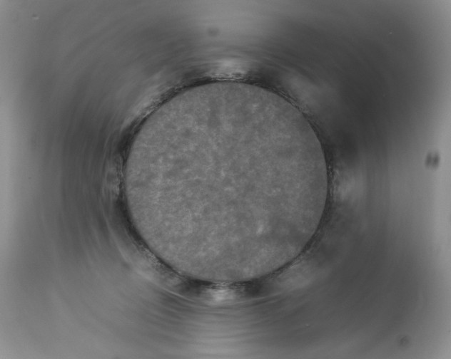 X0000112830370200909111404