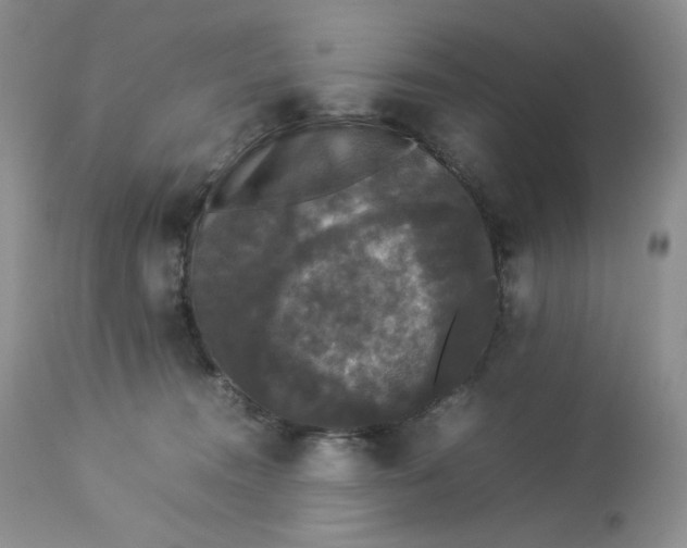 X0000112830372200909111404