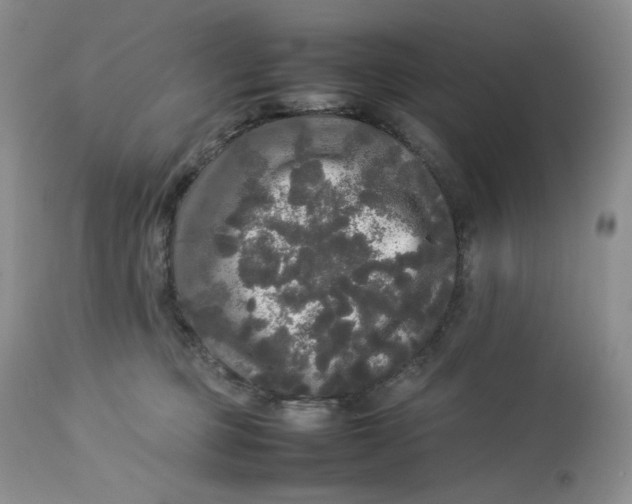 X0000112830373200909111404