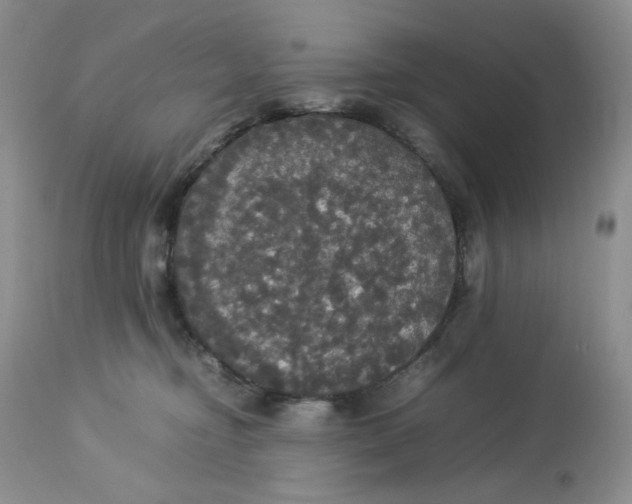 X0000112830374200909111404