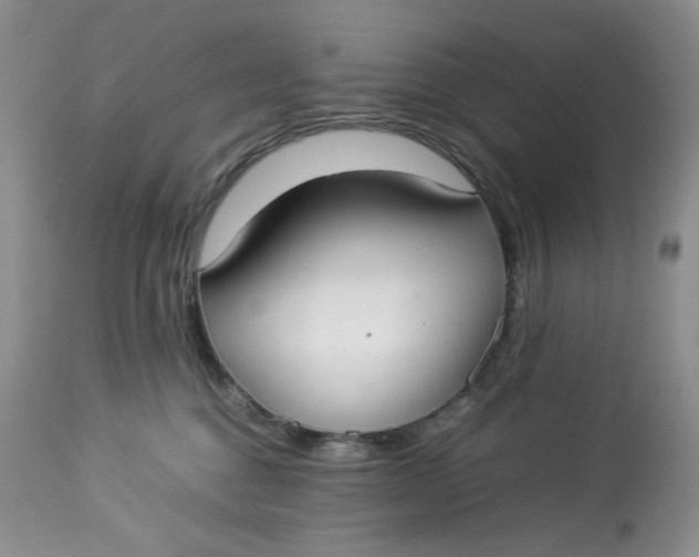 X0000112830376200909111404