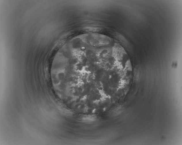 X0000112830377200909111404