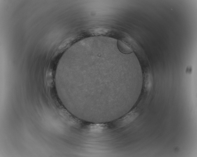 X0000112830378200909111404