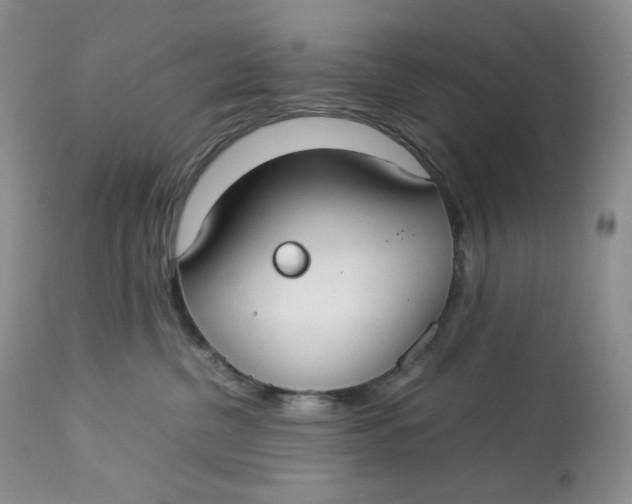 X0000112830380200909111404