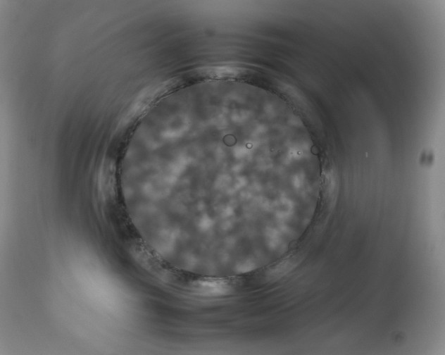 X0000112830381200909111404