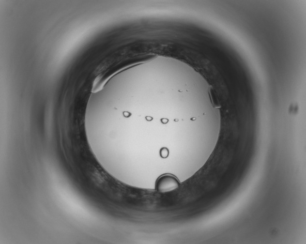 X0000112830382200909111404