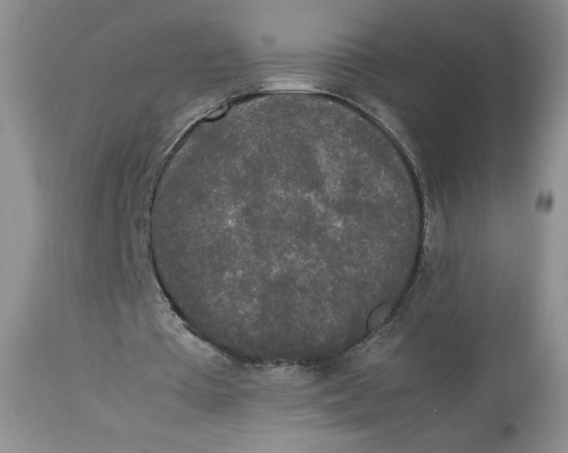 X0000112830385200909111404