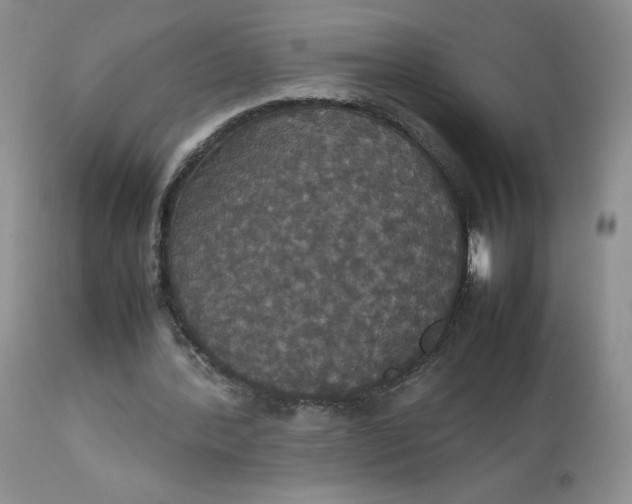 X0000112830388200909111404