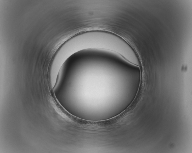 X0000112830389200909111404