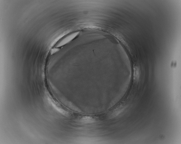 X0000112830390200909111404