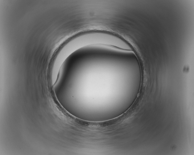 X0000112830391200909111403