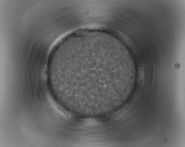 X0000112830392200909111403