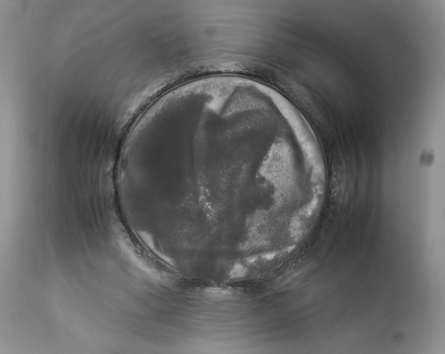 X0000112830394200909111403