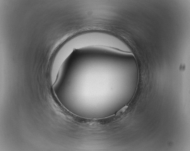 X0000112830395200909111403