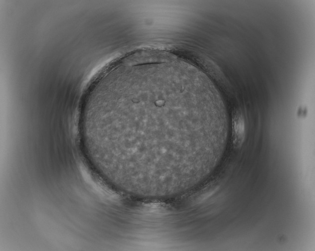 X0000112830396200909111403