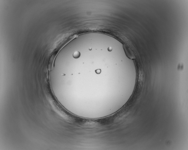 X0000112830397200909111403