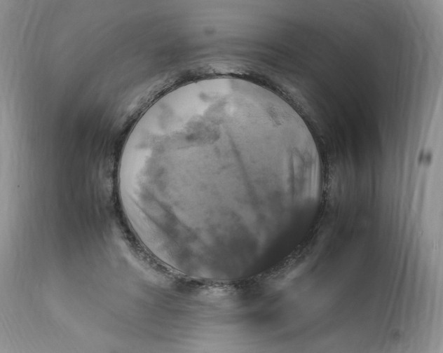 X0000112830402200909111403