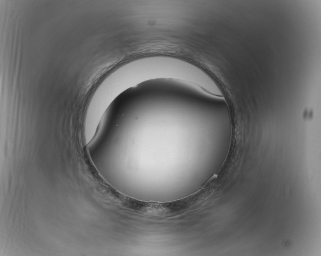 X0000112830403200909111403