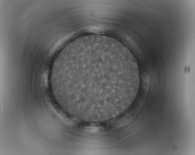 X0000112830404200909111403