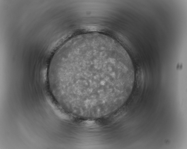 X0000112830406200909111403