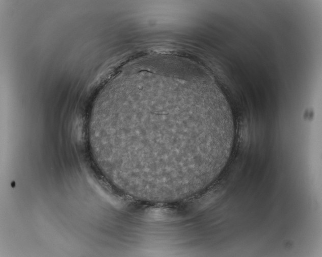 X0000112830408200909111403