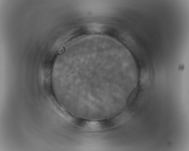 X0000112830409200909111403