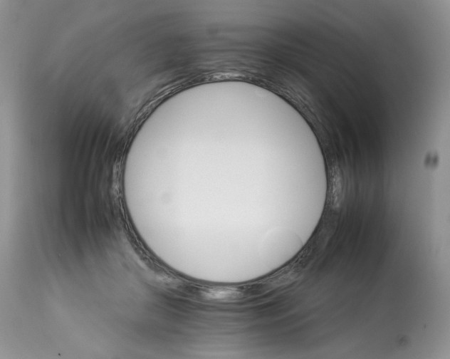 X0000112830410200909111403