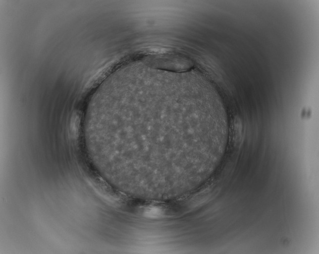 X0000112830412200909111403