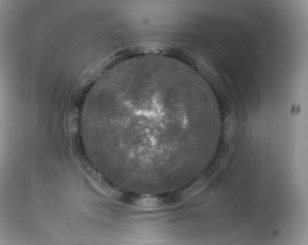 X0000112830413200909111403