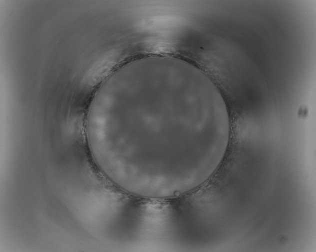 X0000112830415200909111403