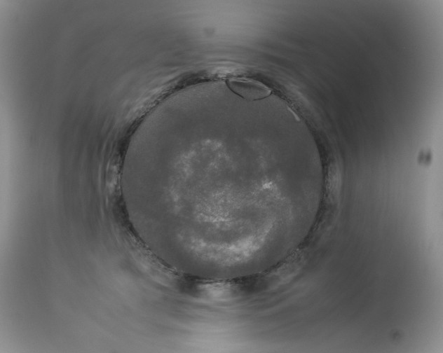 X0000112830417200909111403