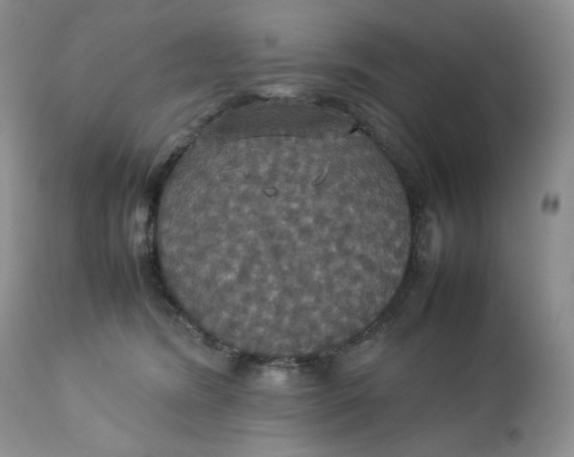 X0000112830420200909111403