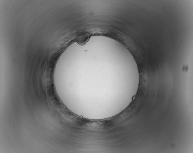 X0000112830422200909111403