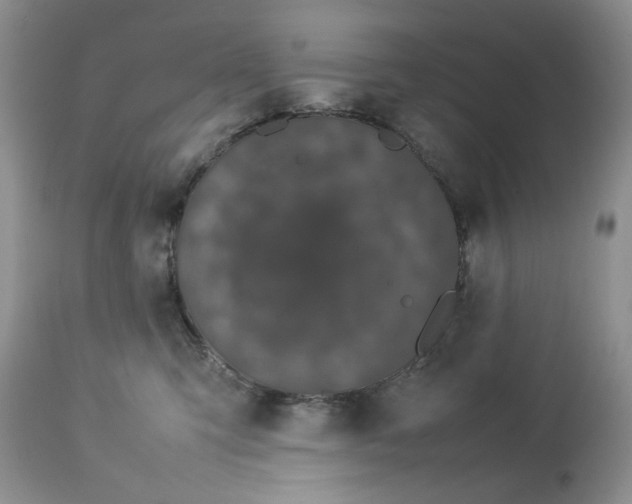 X0000112830423200909111403