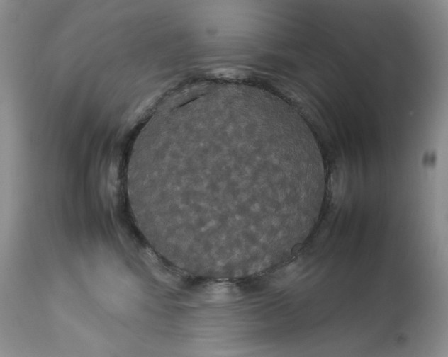 X0000112830424200909111403