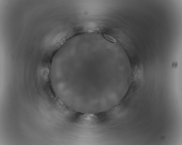 X0000112830427200909111403