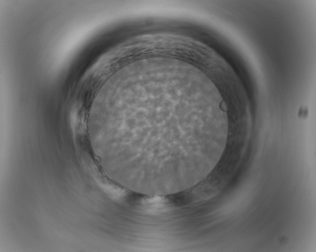 X0000112830431200909111403