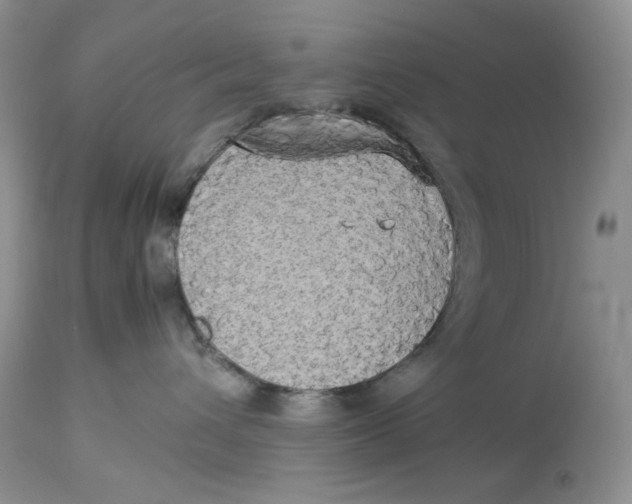 X0000112830432200909111403