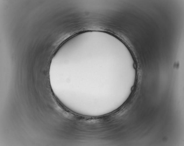 X0000112830433200909111402