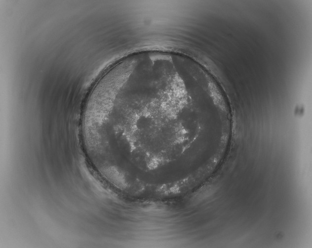 X0000112830434200909111402