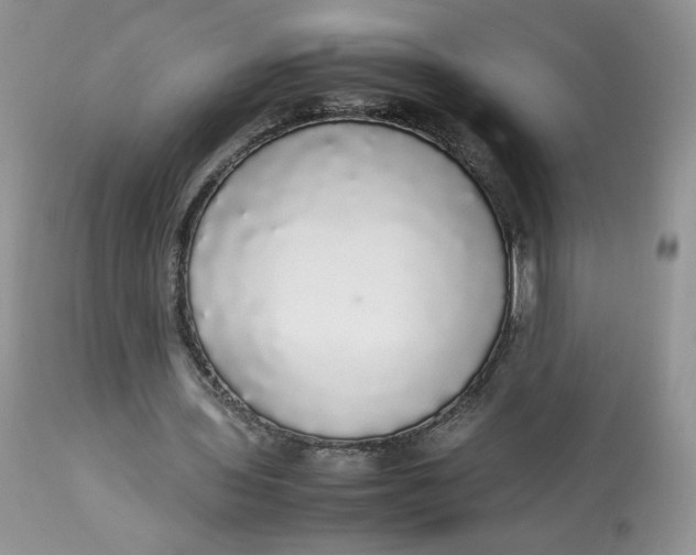 X0000112830435200909111402