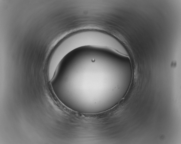 X0000112830436200909111402