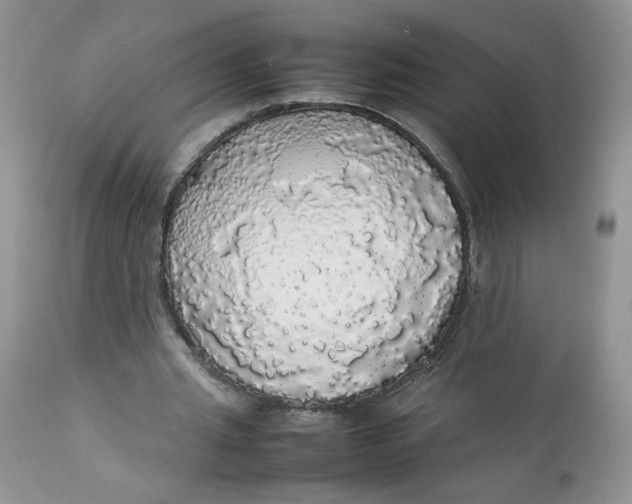 X0000112830437200909111402